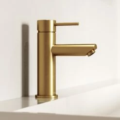 Luxe Basin Monobloc Mixer Tap Brushed Gold