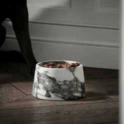Vasoni Arabescato Marble Dog Bowl
